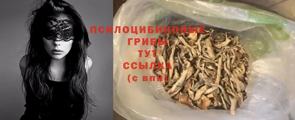 бошки Богородицк