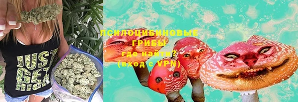 стафф Богородск
