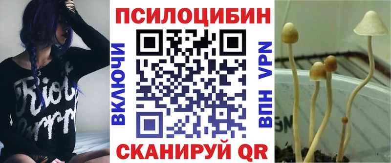 Псилоцибиновые грибы GOLDEN TEACHER  Дмитриев 